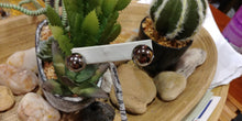 Load image into Gallery viewer, Double Sided Simulated Mirror Gray Pearl Stud &amp; Push Back
